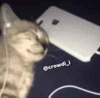 كراودي GIF