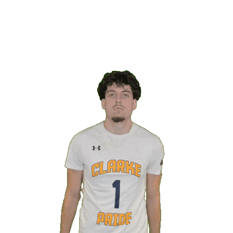 Mens Basketball Sticker by Clarke University