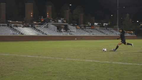 Rejected Go Tigers GIF by Clemson Tigers