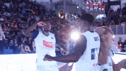 leonessabrescia basket abi brescia fip GIF
