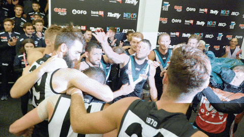 portadelaidefc giphyupload GIF