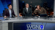Wgn Tv Robin Baumgarten GIF by WGN Morning News