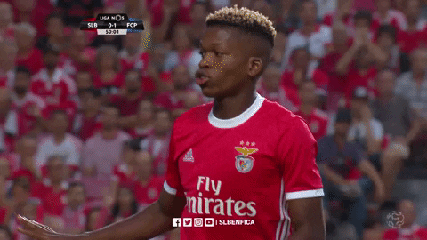 Sorry Sl Benfica GIF by Sport Lisboa e Benfica