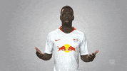 football bother GIF by Bundesliga