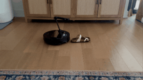 leahhhsss giphygifmaker GIF