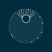 Loop Cavalry GIF by JDL Creative