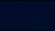 red bull f1 GIF by Red Bull Racing