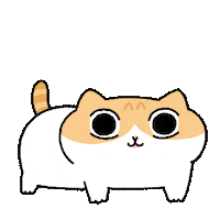 Angry Cat Sticker