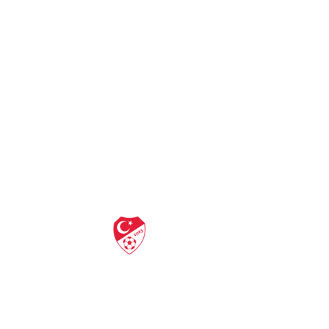 Togg2025 giphyupload futbol türkiye milli takım Sticker
