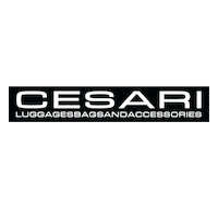 cesaripelletterie fashion made in italy parma accessori Sticker
