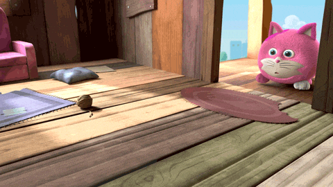 Angry Cat GIF by HangryPetz