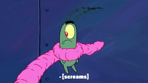 season 9 safe deposit krabs GIF by SpongeBob SquarePants