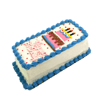 Celebrating Happy Birthday Sticker by Tasmeem