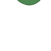 Avocado Sticker by Babe Formula