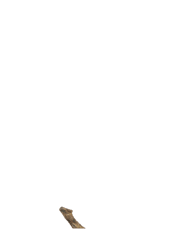 Life Grow Sticker by CreateDrop