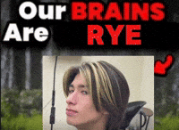 Connax rye our brains ourbrains rye bryan GIF