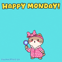 Lets Go Monday GIF by Silly Kitties