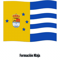 Flag Spain GIF by Formación Ninja