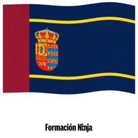 Flag Spain GIF by Formación Ninja