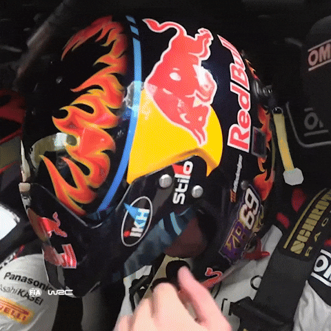 Rally Finland What GIF by FIA World Rally Championship