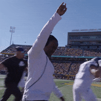 Celebration Fist Pump GIF by TCU Football