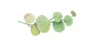 latina leaf Sticker by Botánika Beauty