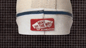 Skate Vans GIF by Pavidas