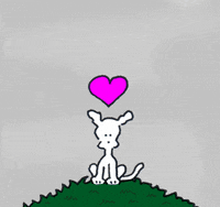 dogs love GIF by Chippy the Dog