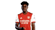Celebrate Premier League Sticker by Arsenal
