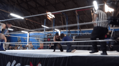 davidbustamante15e35dafe09f405784cdc2267ee8ce83 giphyupload GIF