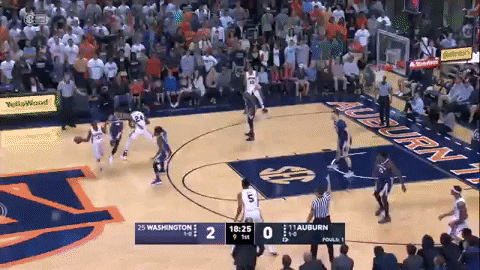 carolinefohrellsterritt giphyupload GIF