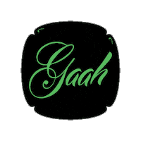 party india Sticker