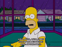 homer simpson GIF