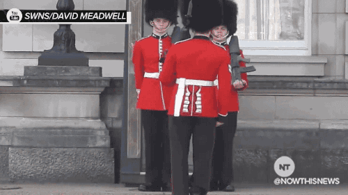 news fail GIF by NowThis 