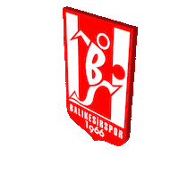 balikesirsporr  Sticker