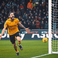 Yelling Premier League GIF by Wolves