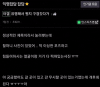 짤 GIF