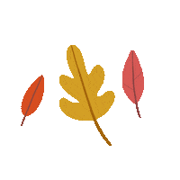 ClaraLewisIllustration nature fall autumn leaves Sticker