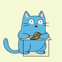 Cat Crying GIF