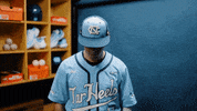 North Carolina Baseball GIF by UNC Tar Heels