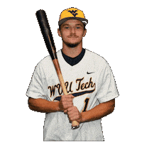 Baseball Sticker by WVU Tech Golden Bears