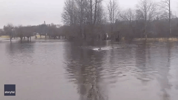 'You're Mad': Man Swims in Flooded Scottish Car Park