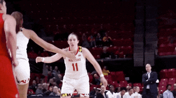 GIF by Maryland Terrapins