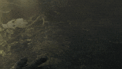 Metro GIF by Deep Silver