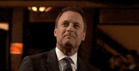 chris harrison abc GIF by The Bachelor