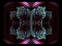 neon lights GIF by Morena Daniela