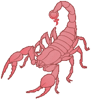 Pink Feminist Sticker by Riza G