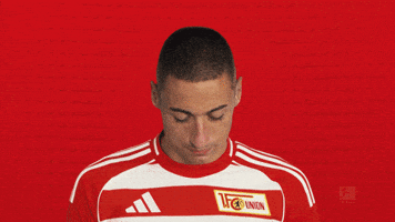Union Berlin Ljubicic GIF by Bundesliga