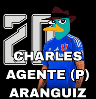 Charles Aranguiz Udechile GIF
