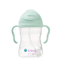 Bbox Sticker by b.box for kids JAPAN(ビーボックス)